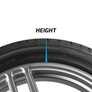 HEIGHT: 55